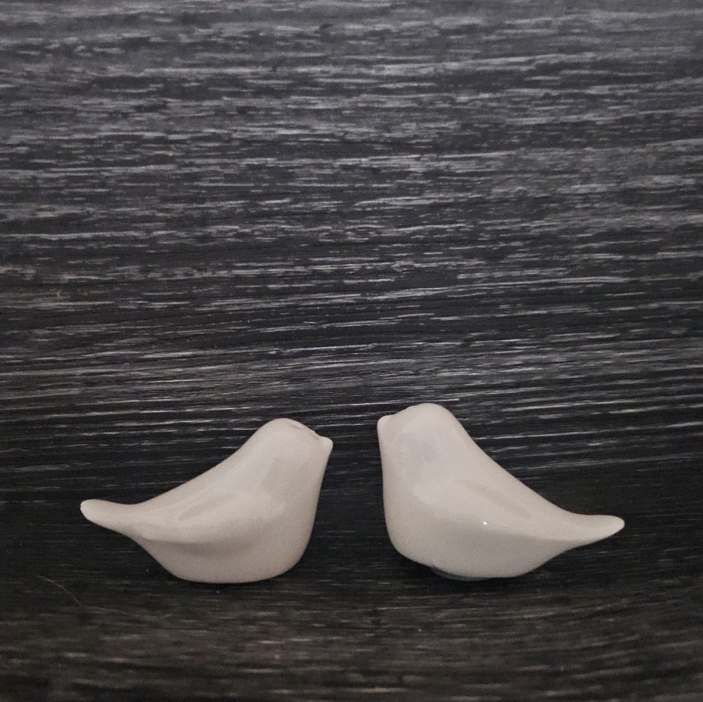 10 mini love bird cruet sets